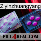 Ziyinzhuangyang 37